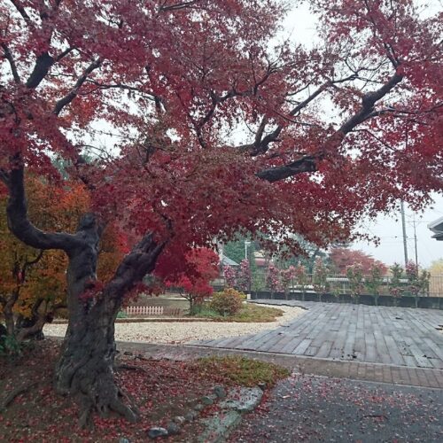 館林市尾曳町 中古戸建 画像10 館林市尾曳町 中古戸建 画像10