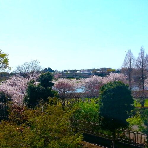 館林市尾曳町 中古戸建 画像12 館林市尾曳町 中古戸建 画像12