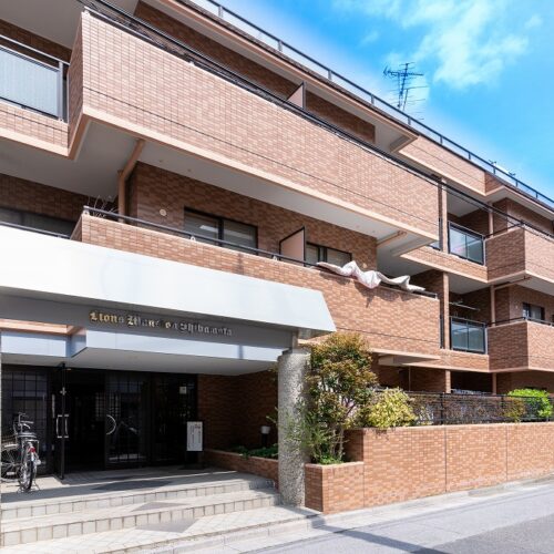 ライオンズマンション柴又 1階 ライオンズマンション柴又 1階