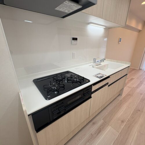 コンドミニアム亀有B棟 画像5