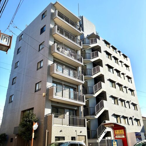 コスモ柴又駅前 3階